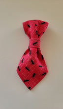 Load image into Gallery viewer, Black Ant Pet  Necktie