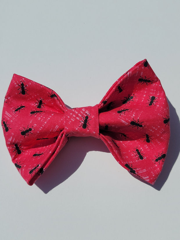 Black Ant Bow